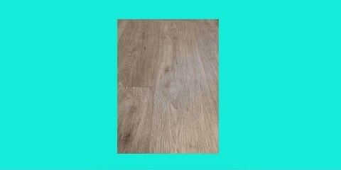 carpet cleaning service